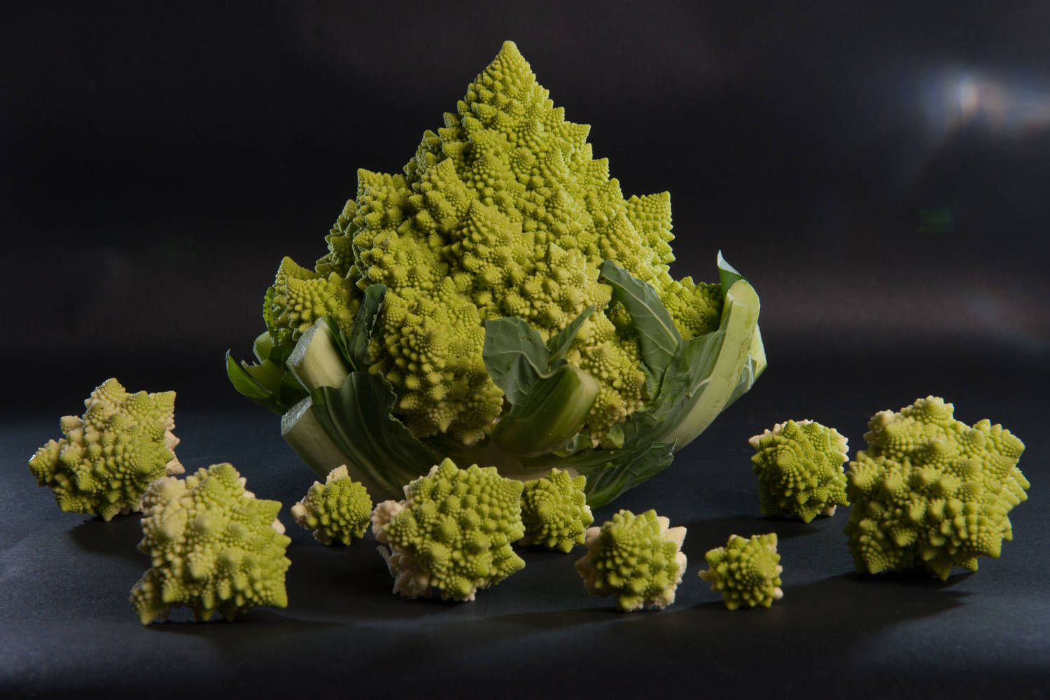 Rispetto per l'ambiente 